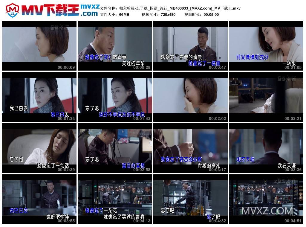 帕尔哈提-忘了她_国语_流行_MB403033